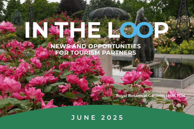 In the Loop June 2025 Newsletter