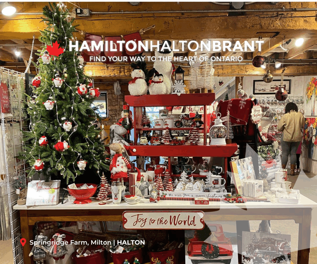 November 2025 E-blast Header showing a gift display at Springridge Farm